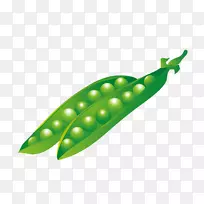 豌豆动画-绿色豌豆
