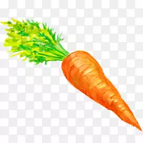 小胡萝卜蔬菜-胡萝卜装饰