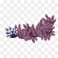 海底珊瑚-紫色珊瑚