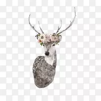 鹿画麋鹿插图.鹿装饰材料