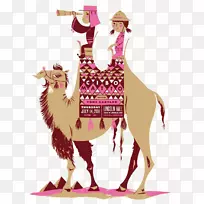骆驼卡通插图-卡通骆驼