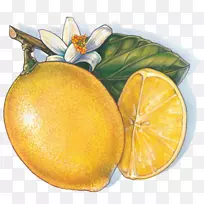 芒果水果剪贴画-金芒果
