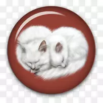 猫须-爱猫