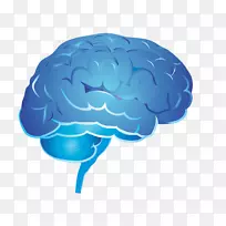心理学脑学习思维-人脑图像