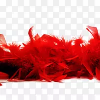 鸟类羽毛boa红色-红色羽毛自由扣材料