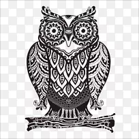 OWL绘制版税-无-OWL