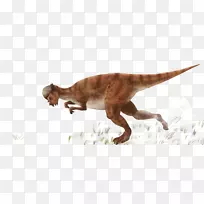 暴龙恐龙插图-奔跑恐龙