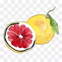 葡萄柚柠檬柚子手绘鲜甜葡萄柚