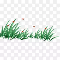 草坪剪贴画-绿草