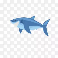 安琪鲨鱼-卡通鲨鱼