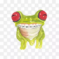 青蛙猫水彩画牙套绿色树蛙