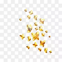 蝴蝶黄金-金蝴蝶