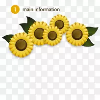 花-黄色向日葵背景载体材料