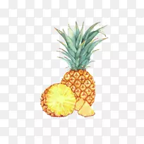 水彩画水果画插图.菠萝