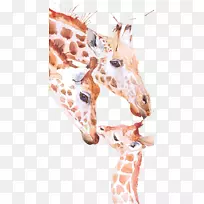 长颈鹿水彩画版画长颈鹿