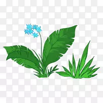 绿叶花草