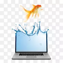 笔记本电脑广告业务营销-金鱼和笔记本电脑