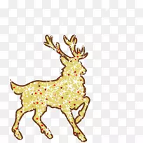 驯鹿出生的Luz圣诞节-金色驯鹿载体材料