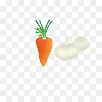 胡萝卜成分大蒜胡萝卜成分