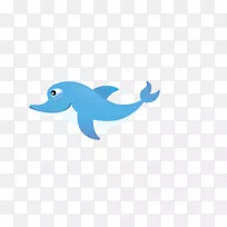 海豚插图-蓝色海豚