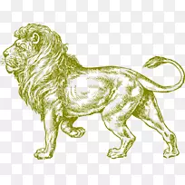 白狮黑白剪贴画-狮子、动物、野生动物
