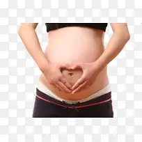 妇女经期妊娠u5b55u5987母亲-孕妇，腹部，妊娠，母亲，孕妇
