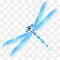 蜻蜓蓝色图标-蓝色蜻蜓