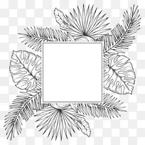 热带植物素描-热带植物