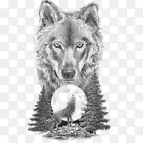 灰狼运动纹身工作室纹身艺术家素描动物狼