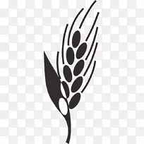 黑白水稻田剪贴画-稻谷、小麦、稻谷