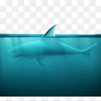 大白鲨纺丝海豚方形虎鲨-海洋鲨鱼设计载体材料