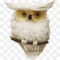 OWL下载-OWL