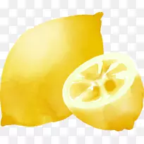 柠檬-莱姆饮料图标-手绘柠檬