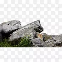 岩石-假山，岩石，石头
