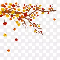 秋叶色树枝-秋叶枫叶