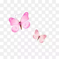 蝴蝶下载-粉红色蝴蝶