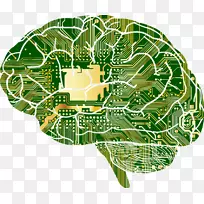 GoogleBrainBrainu2013计算机接口人脑头盖骨-脑线路