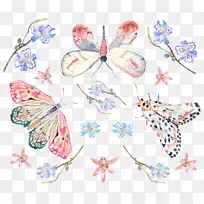 蝴蝶图案-彩色蝴蝶图案背景