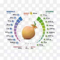 营养大葱维生素矿物质洋葱分析图表