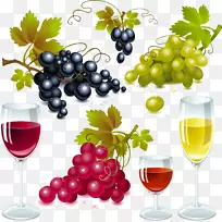 白葡萄酒、苏维浓白葡萄酒、康科德葡萄和红葡萄酒酒杯载体材料