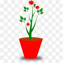 花盆免费内容剪辑艺术盆栽植物插花