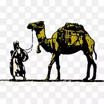 免费内容剪贴画-骆驼，沙漠，动物