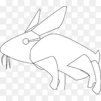 兔线艺术白画兔线艺术