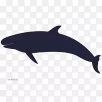 虎鲸头盖骨座头鲸剪贴画.第8名鲸类