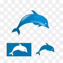 海豚标志插图-海豚