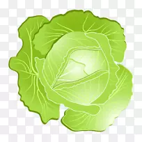 萨沃伊卷心菜剪贴画-蔬菜，卷心菜