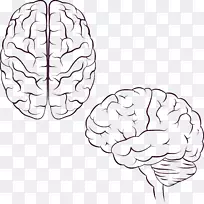 脑图标设计图标-手绘大脑