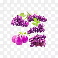 Kyoho果汁葡萄酒，奥格里斯葡萄-紫葡萄果