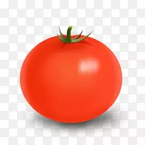 李子番茄灌木番茄食物苹果-番茄