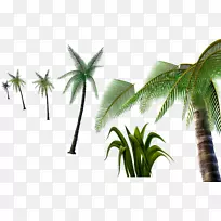 椰子树-椰子树材料3D无拉